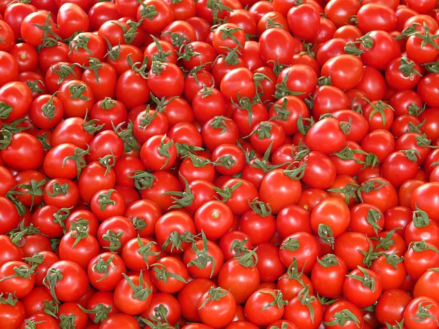 tomatoes-73913_640